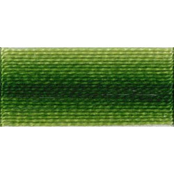 Coton perlé n°8 ref 92 vert dégradé