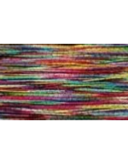 Fil metallic n°40 Tutti frutti 100 m Au Chinois (ref 205)