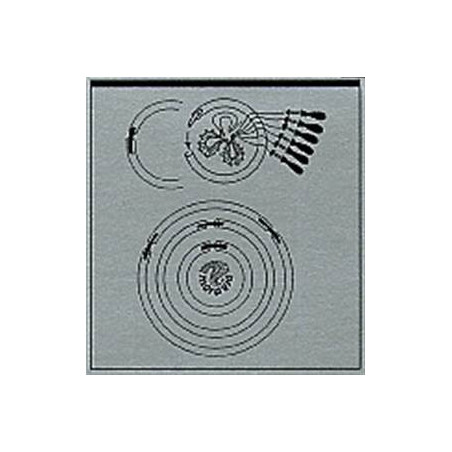 Cercle magique (7cm /10cm/ 17cm en un seul)