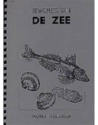 Catalogue n°19 Les animaux de la mer