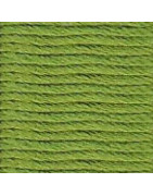 Soie d'Alger  5m - Vert Oeillet  (2134)