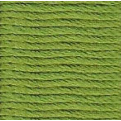 Soie d'Alger  5m - Vert Oeillet  (2134)