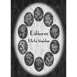Eisblumen