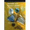 Dentelle aux fuseaux perlée Bijoux et accessoires