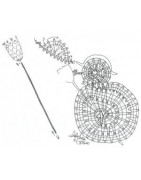 Revue  La Dentelle  n°123 (Oct/Nov/Déc 2010)