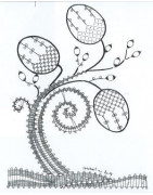 Revue  La Dentelle  n°136 (Janv/Fév/Mars 2014)