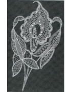 Revue  La Dentelle  n°136 (Janv/Fév/Mars 2014)