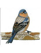 Revue  La Dentelle  n°149 (avr/mai/juin 2017)