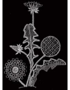 CD n°6 revues  La Dentelle  du n°41 à 48