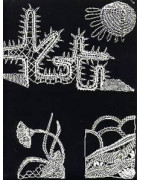 * Planche B  : comète de Halley, fleur, cactus...