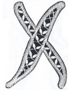 Catalogue abécédaire cluny