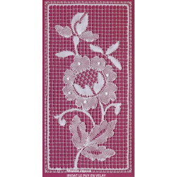 Dentelle Craponne 2ème Partie