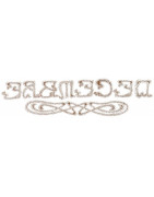 Revue  La Dentelle  n°170 NUMERIQUE