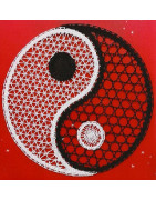 Revue  La Dentelle  n°170 NUMERIQUE