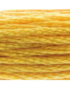 Mouliné spécial n°728 JAUNE HOUBLON