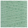 Filato di Cantù n°40 - Vert (206)