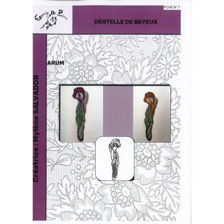 Fiche n°7 Dentelle Bayeux Arum