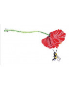 Carte postale Coquelicot et bourdon