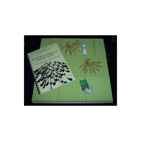 Kit :9 cubes +methode+30 fx OL1+ép arpètes+1 35/2