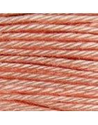Coton à broder n°25 saumon clair (754) - échevette de 32 m