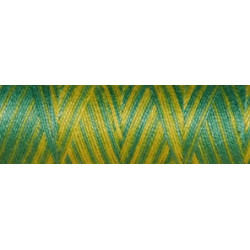 Fil coton Venne Nm 40/2 140 mètres 3055 vert