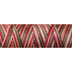 Fil coton Venne Nm 40/2 140 mètres 4005 winter