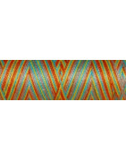 Fil coton Venne Nm 40/2 4011 140 mètres berlingot