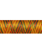 Fil coton Venne Nm 40/2 140 mètres 3010 Porto