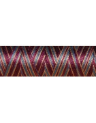 Fil coton Venne Nm 40/2 140 mètres 3060 dark