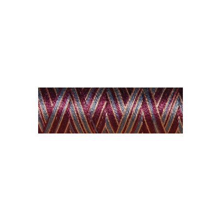 Fil coton Venne Nm 40/2 140 mètres 3060 dark