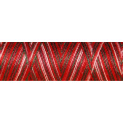 Fil coton Venne Nm 40/2 140 mètres 4001 noël