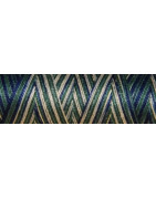 Fil coton Venne Nm 40/2 140 mètres 4012 land