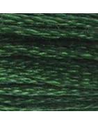 Mouliné spécial n°895 vert