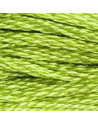 Mouliné spécial n°907 Granny Smith