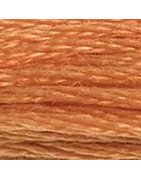 Mouliné spécial n°721 Papaye orange