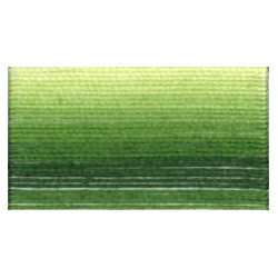 Coton DMC N°80 ref 92 vert dégradé