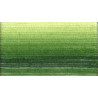 Coton DMC N°80 ref 92 vert dégradé