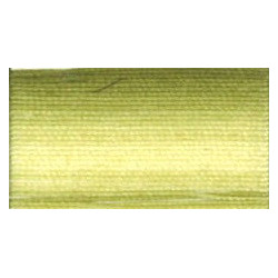 Coton DMC N°80 ref 94 vert kaki dégradé