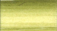 Coton DMC N°80 ref 94 vert kaki dégradé  