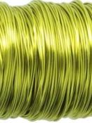 Fil Déco Verni 0.3 mm Citron Vert 50 m 