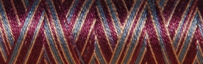 Fil coton Venne Nm 40/2 140 mètres 3060 dark